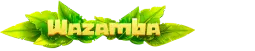 Wazamba Casino | Pegue sua parte da sorte e ganhe todos os dias